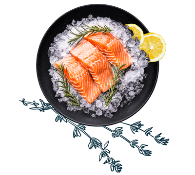 Fischfilet mit Kräutern, Zitrone und Eiswürfeln auf einem Teller über einer Illustration von Kräutern